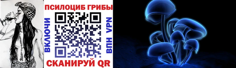 Псилоцибиновые грибы ЛСД  Чкаловск 